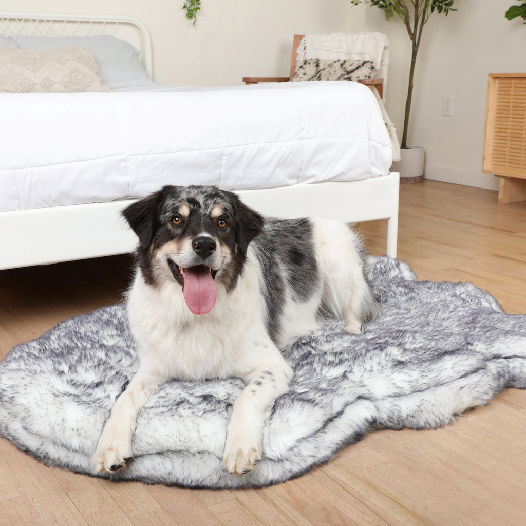 PupRug® Luxe Orthopedic Bed + Matching Waterproof Blanket  Bundle - Ultra Plush Arctic Fox