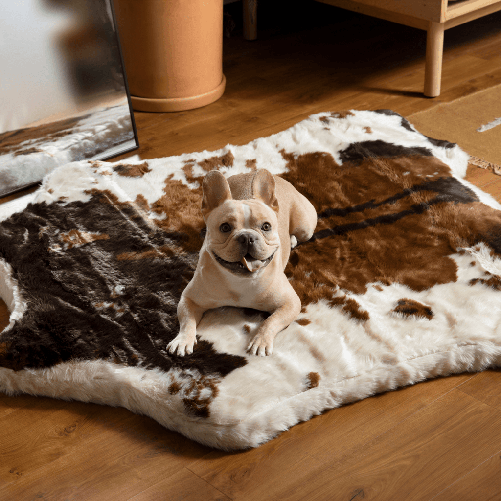 PupRug® Memory Foam Bed + Matching Waterproof Blanket Bundle - Brown Faux Cowhide