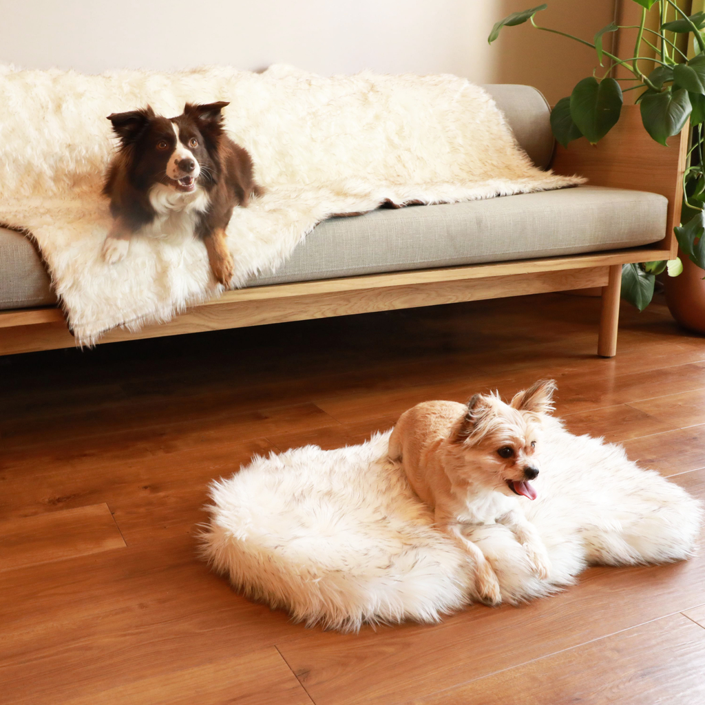 PupRug® Orthopedic Bed + Matching Waterproof Blanket Bundle - White with Brown Accents