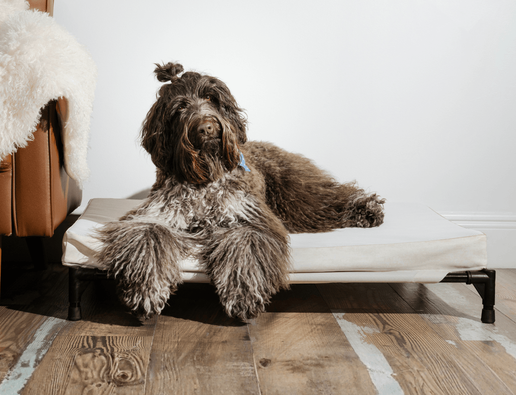 AirX Foam™ Outdoor Dog Bed - Waterproof & Cooling (Bolster Sold Separately)