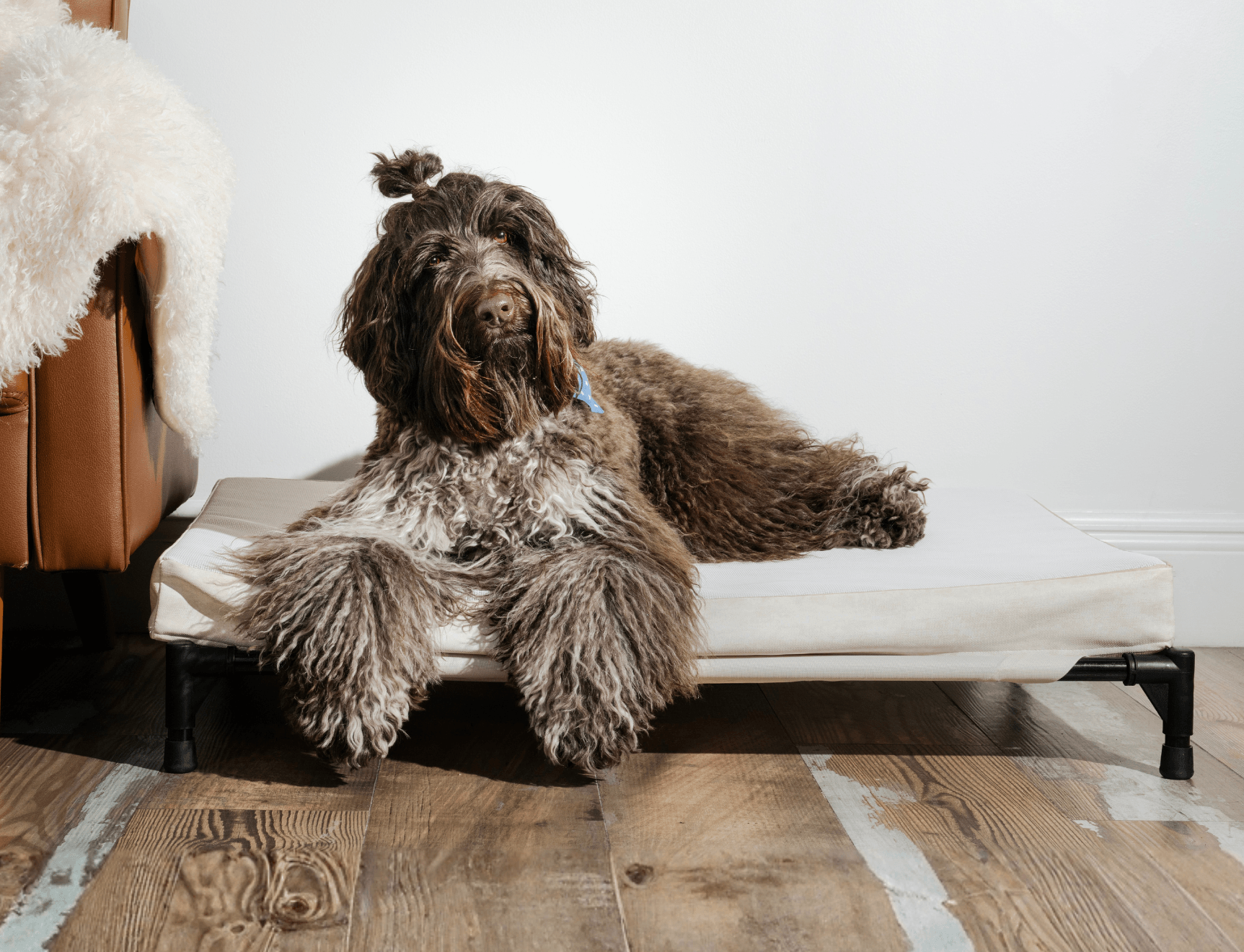 AirX Foam™ Outdoor Dog Bed - Waterproof & Cooling (Bolster Sold Separately)
