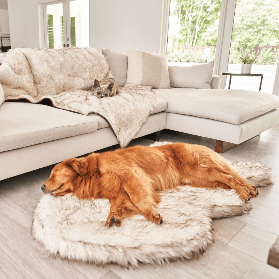 PupRug® Orthopedic Bed + Matching Waterproof Blanket Bundle - White with Brown Accents