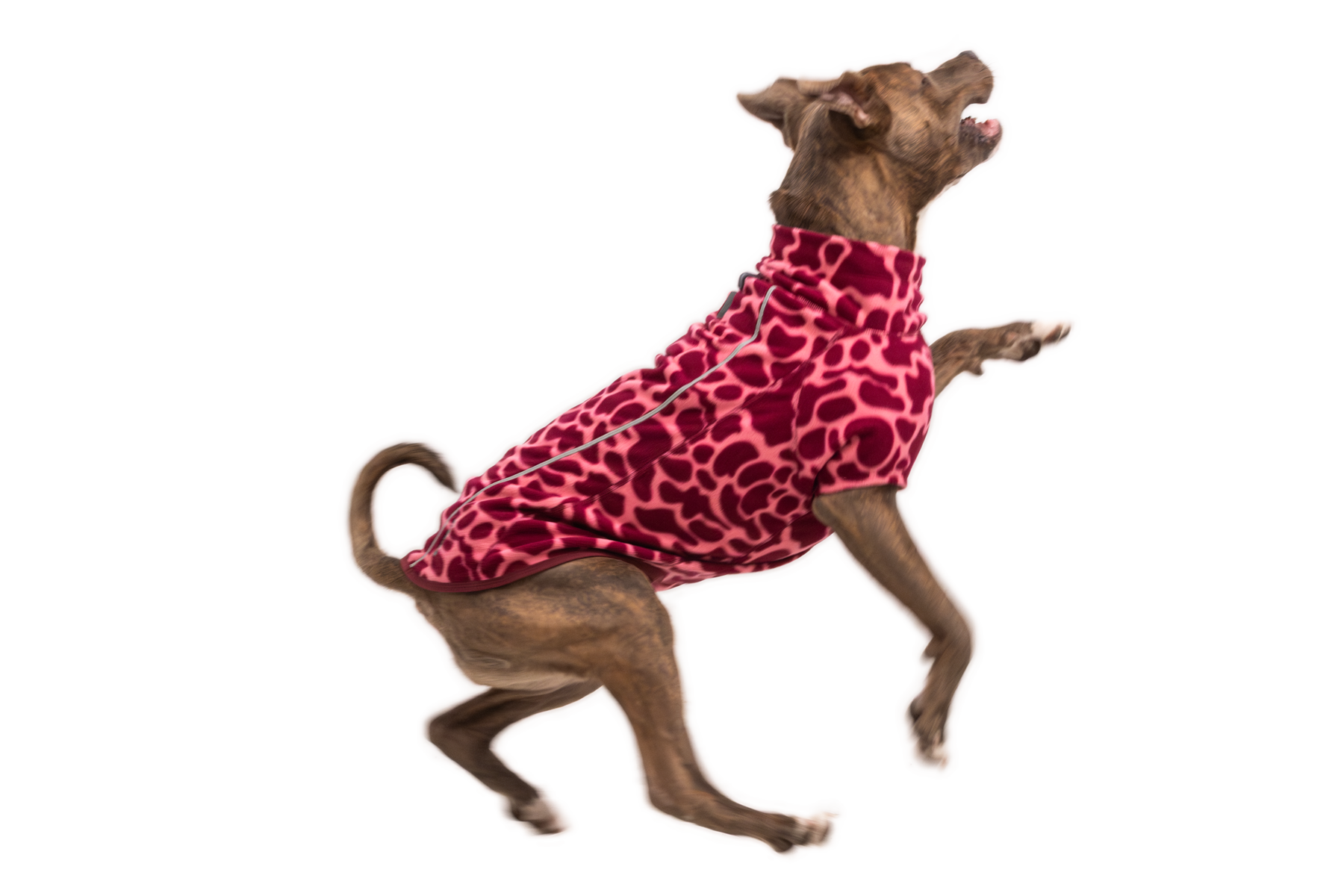 Climate Changer™ Fleece Jacket