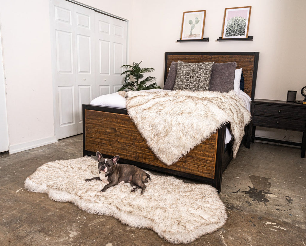 PupRug® Orthopedic Runner Bed + Matching Waterproof Blanket Bundle - White with Brown Accents
