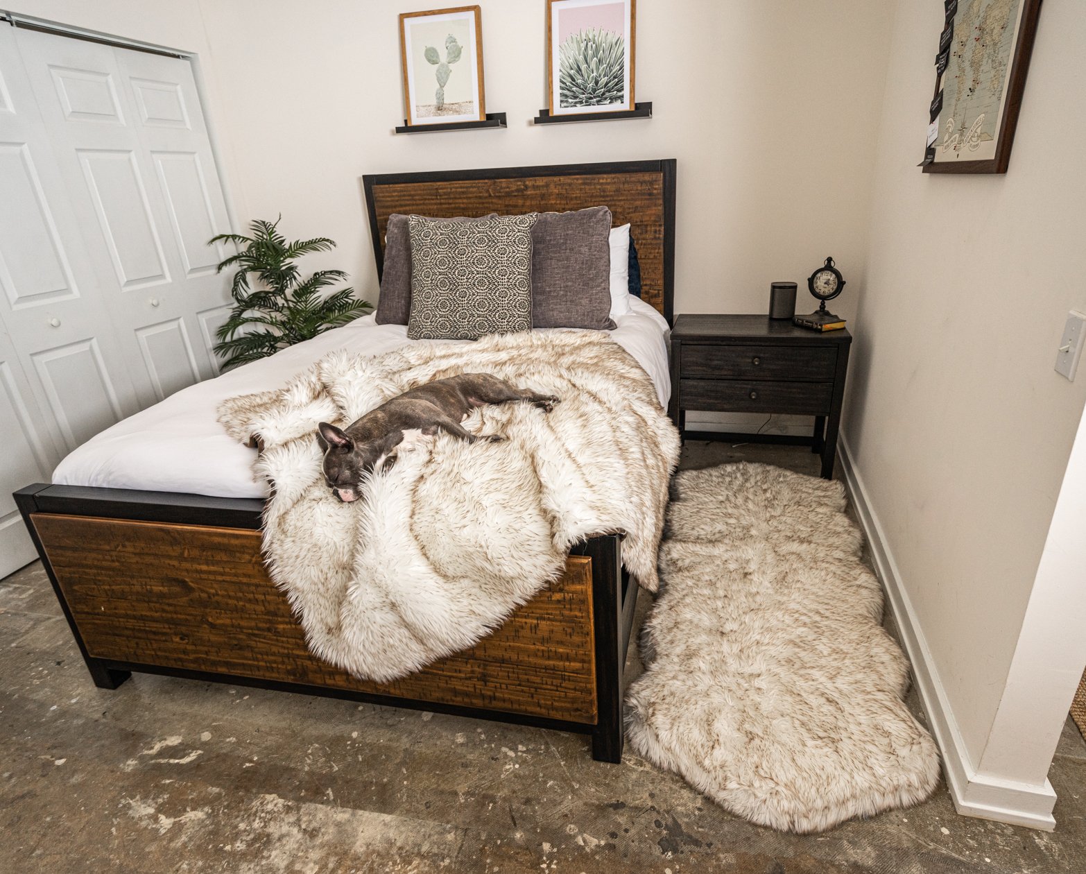 PupRug® Orthopedic Runner Bed + Matching Waterproof Blanket Bundle - White with Brown Accents
