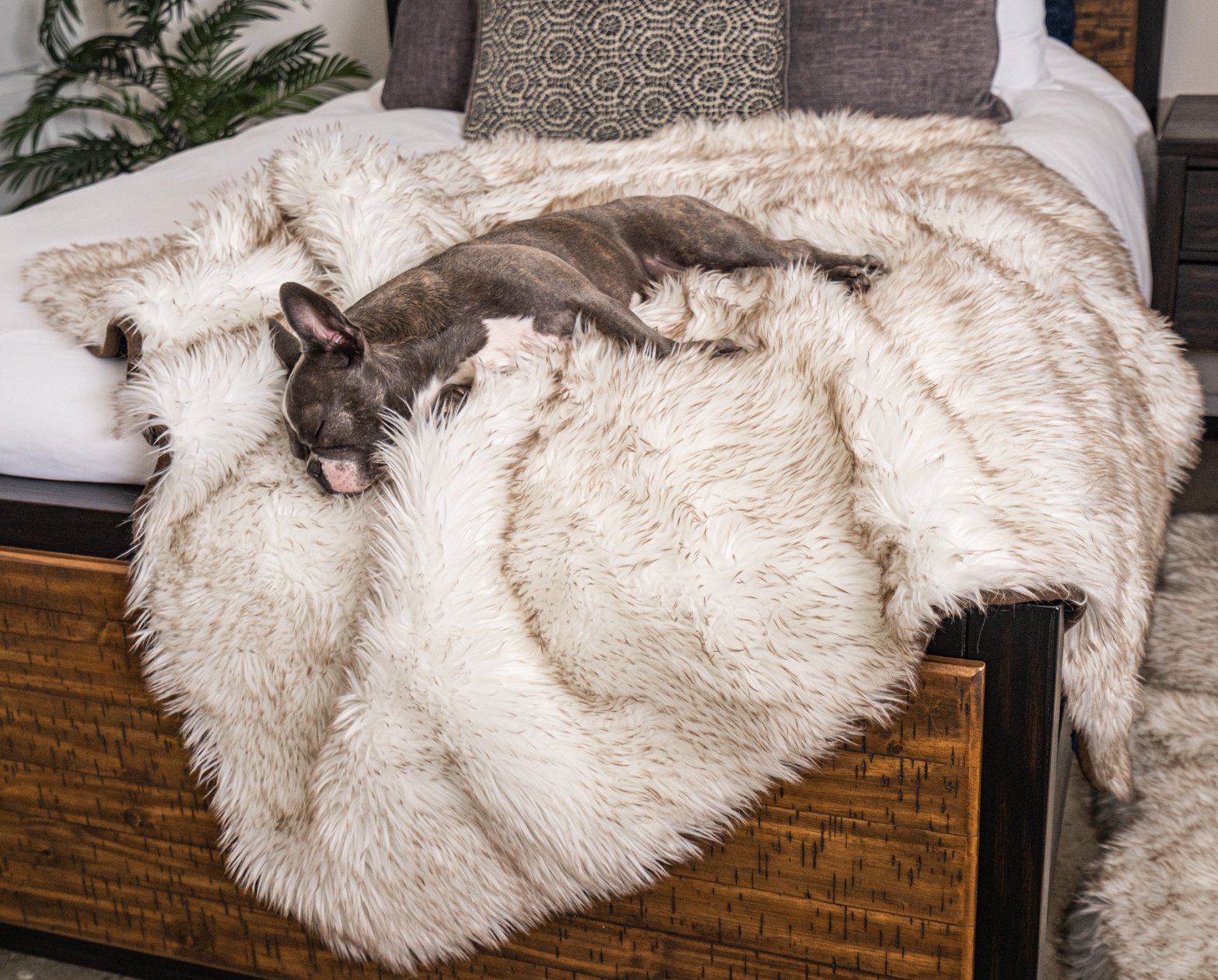 PupRug® Orthopedic Bed + Matching Waterproof Blanket Bundle - White with Brown Accents