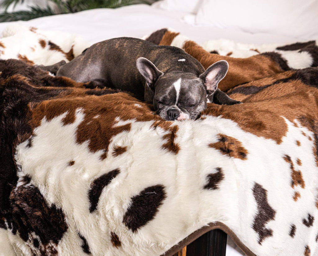 PupRug® Memory Foam Bed + Matching Waterproof Blanket Bundle - Brown Faux Cowhide