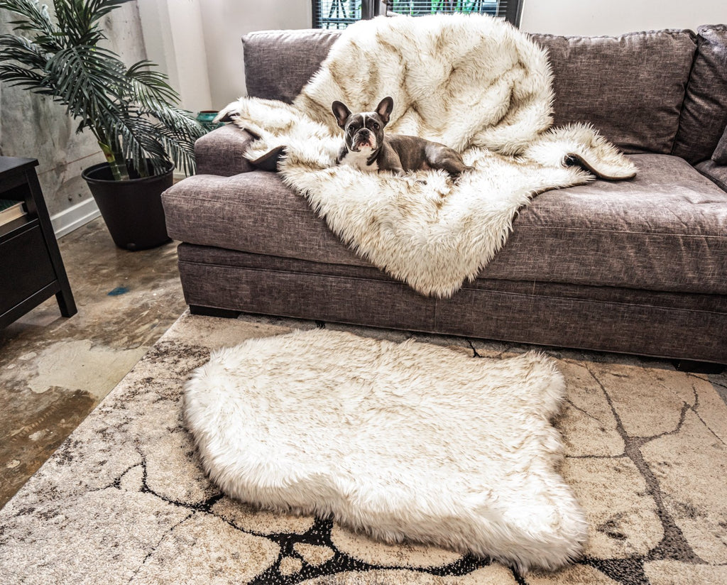 PupRug® Orthopedic Bed + Matching Waterproof Blanket Bundle - White with Brown Accents