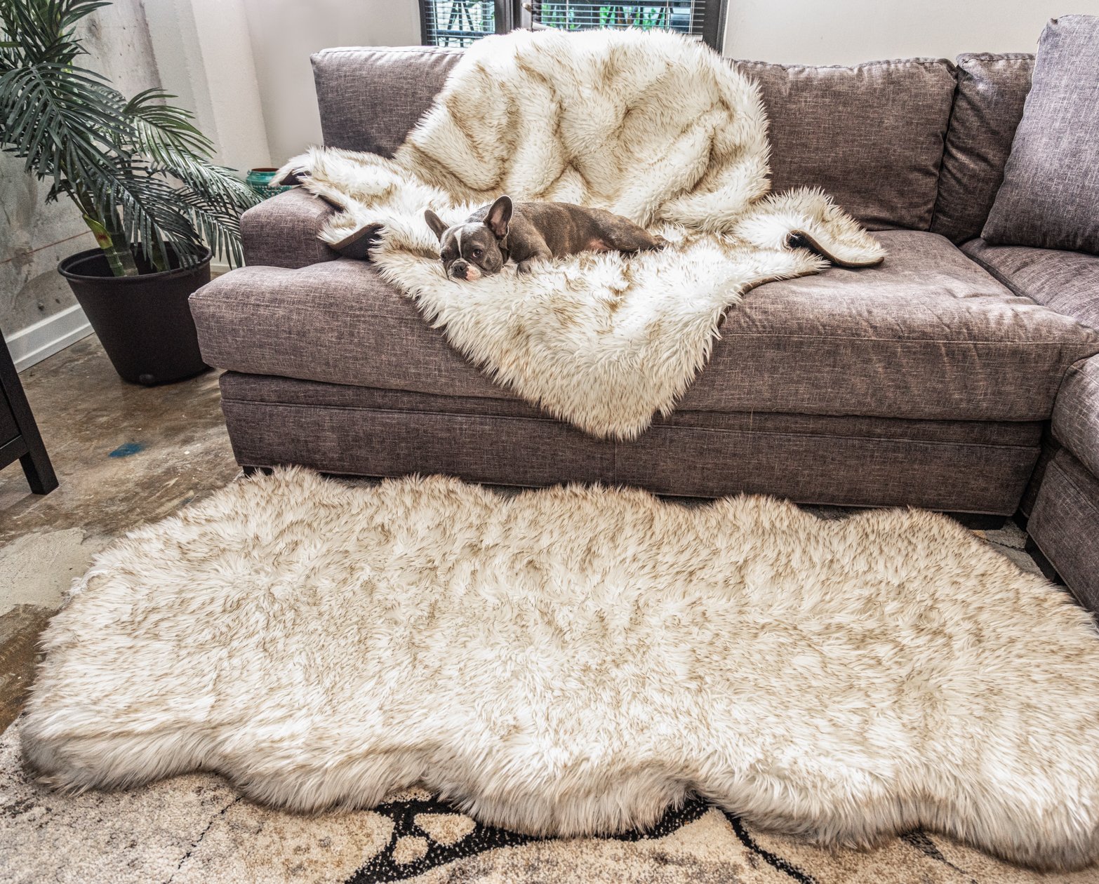 PupRug® Orthopedic Runner Bed + Matching Waterproof Blanket Bundle - White with Brown Accents