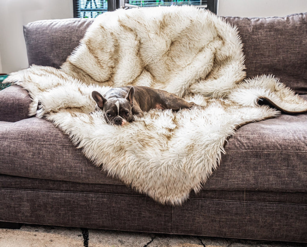 PupRug® Orthopedic Runner Bed + Matching Waterproof Blanket Bundle - White with Brown Accents