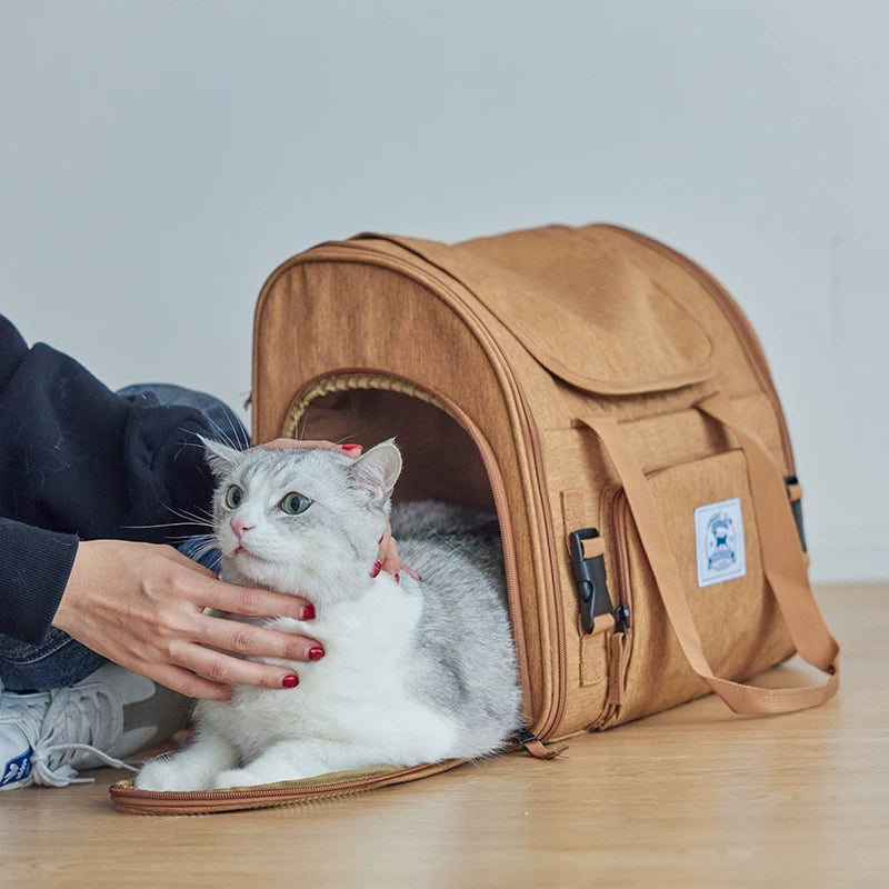 Ostracod pet portable backpack for outdoor use, breathable folding for carrying cats, large capacity backpack for carrying cats
