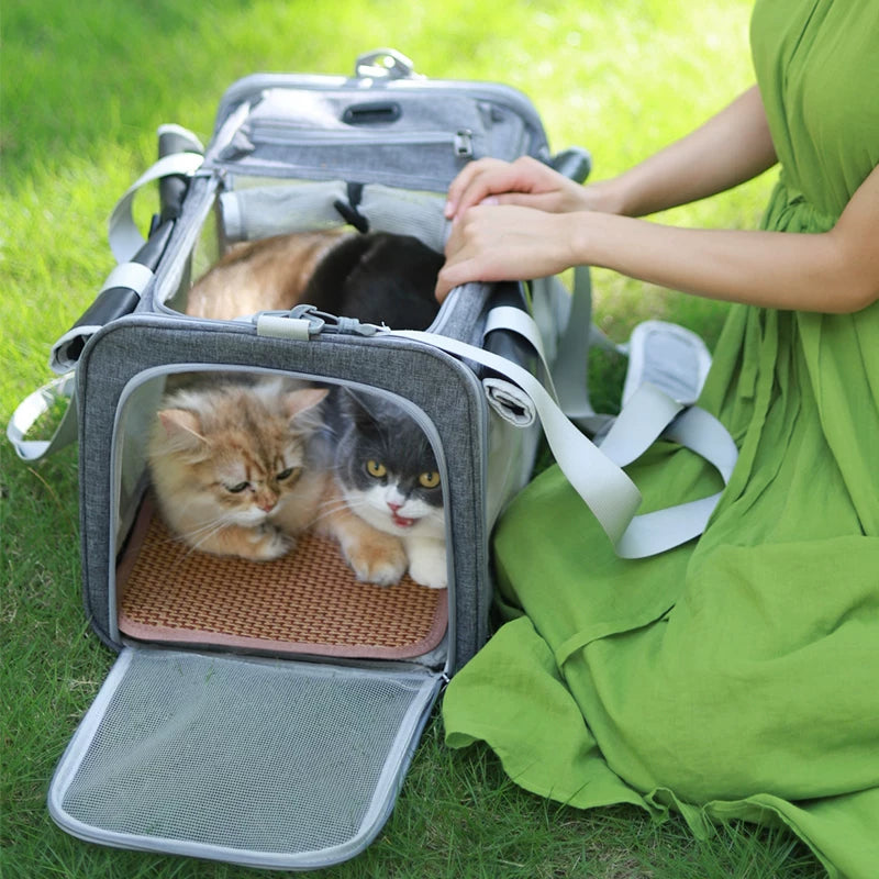 Ostracod cat bag portable outdoor cat backpack large breathable summer carry pet two cat sterilization bag