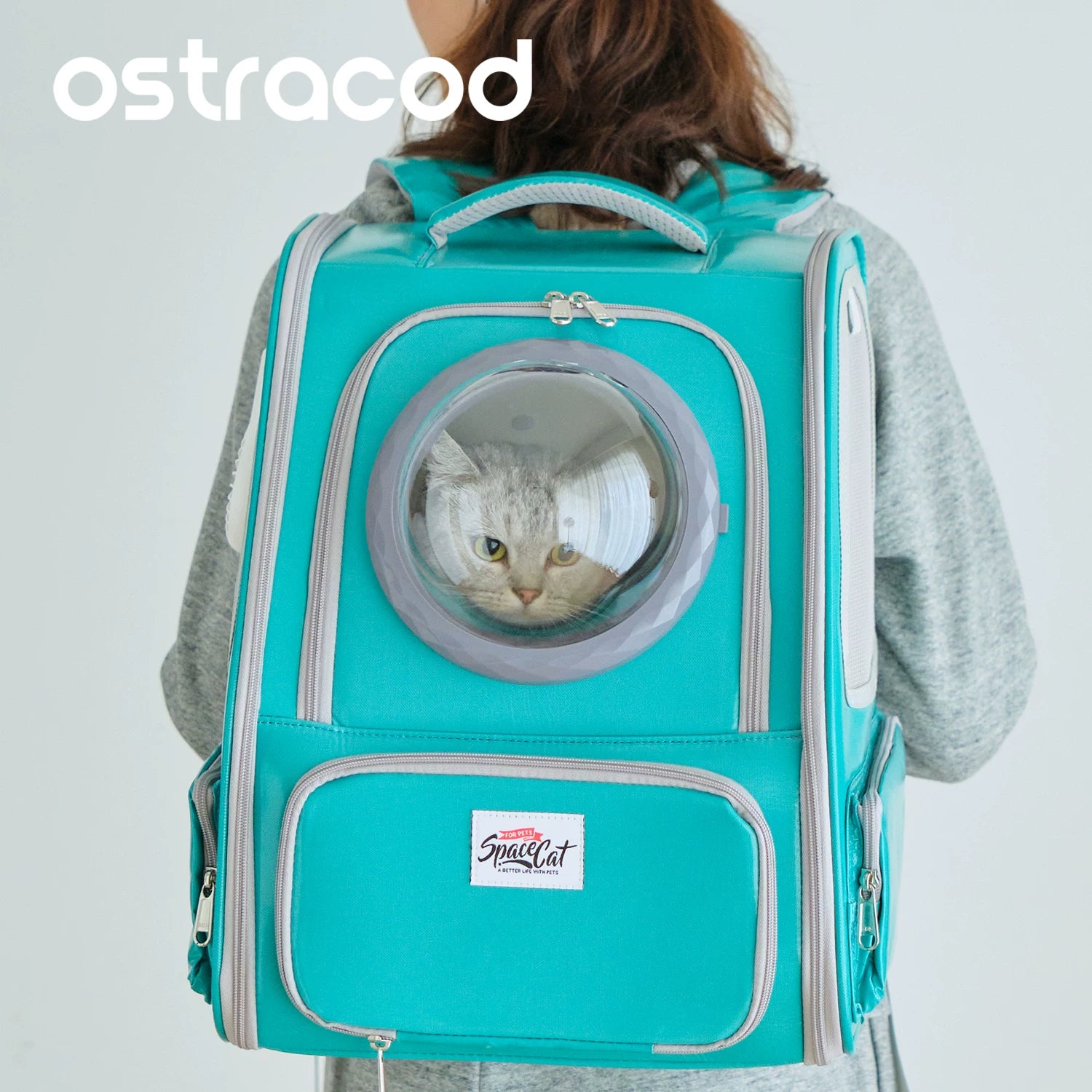 Ostracod cat bag for outdoor use, portable pet backpack for carrying cats on both shoulders, large capacity, warm cabin for winter travel