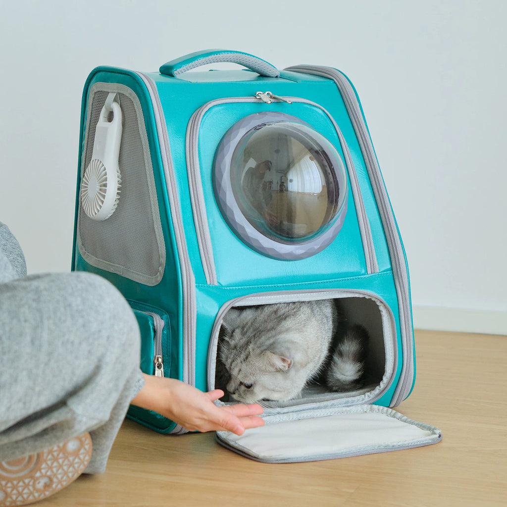 Ostracod cat bag for outdoor use, portable pet backpack for carrying cats on both shoulders, large capacity, warm cabin for winter travel