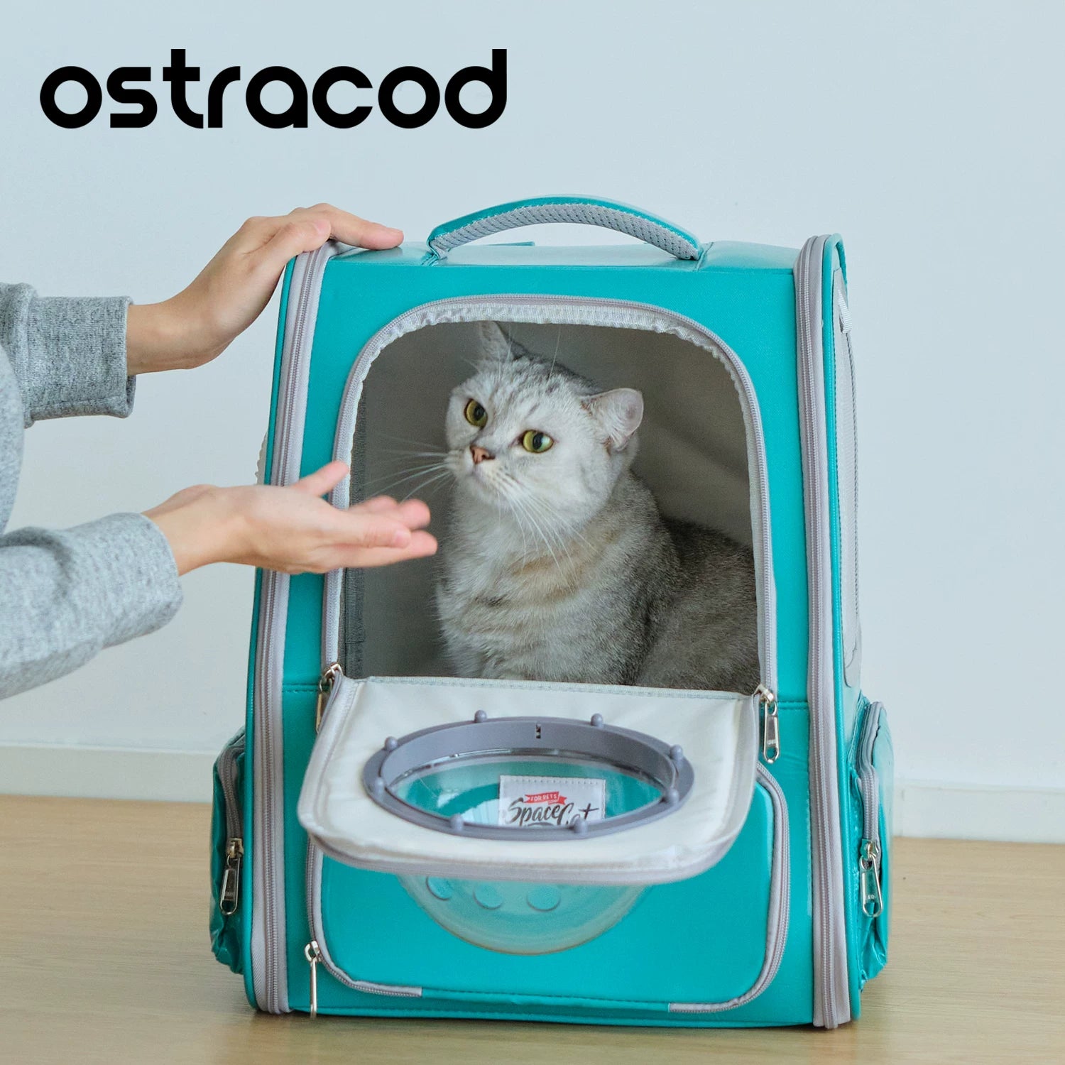 Ostracod cat bag for outdoor use, portable pet backpack for carrying cats on both shoulders, large capacity, warm cabin for winter travel