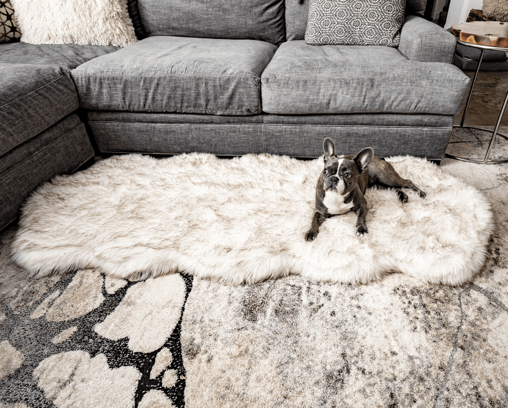 PupRug® Orthopedic Runner Bed + Matching Waterproof Blanket Bundle - White with Brown Accents