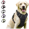 Dog Harness Vest Collar Set for Small Medium Dogs