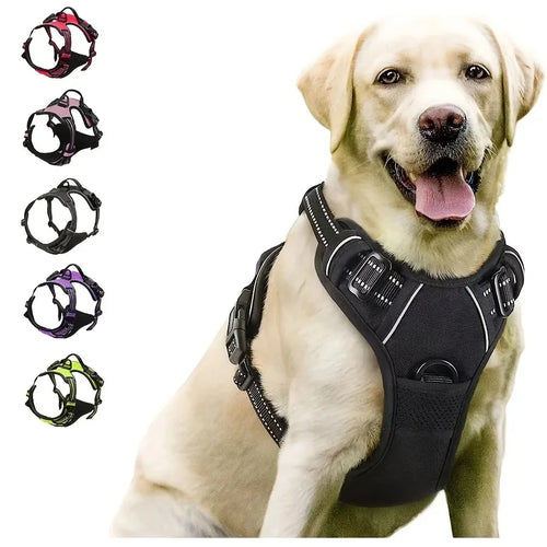 Dog Harness Vest Collar Set for Small Medium Dogs