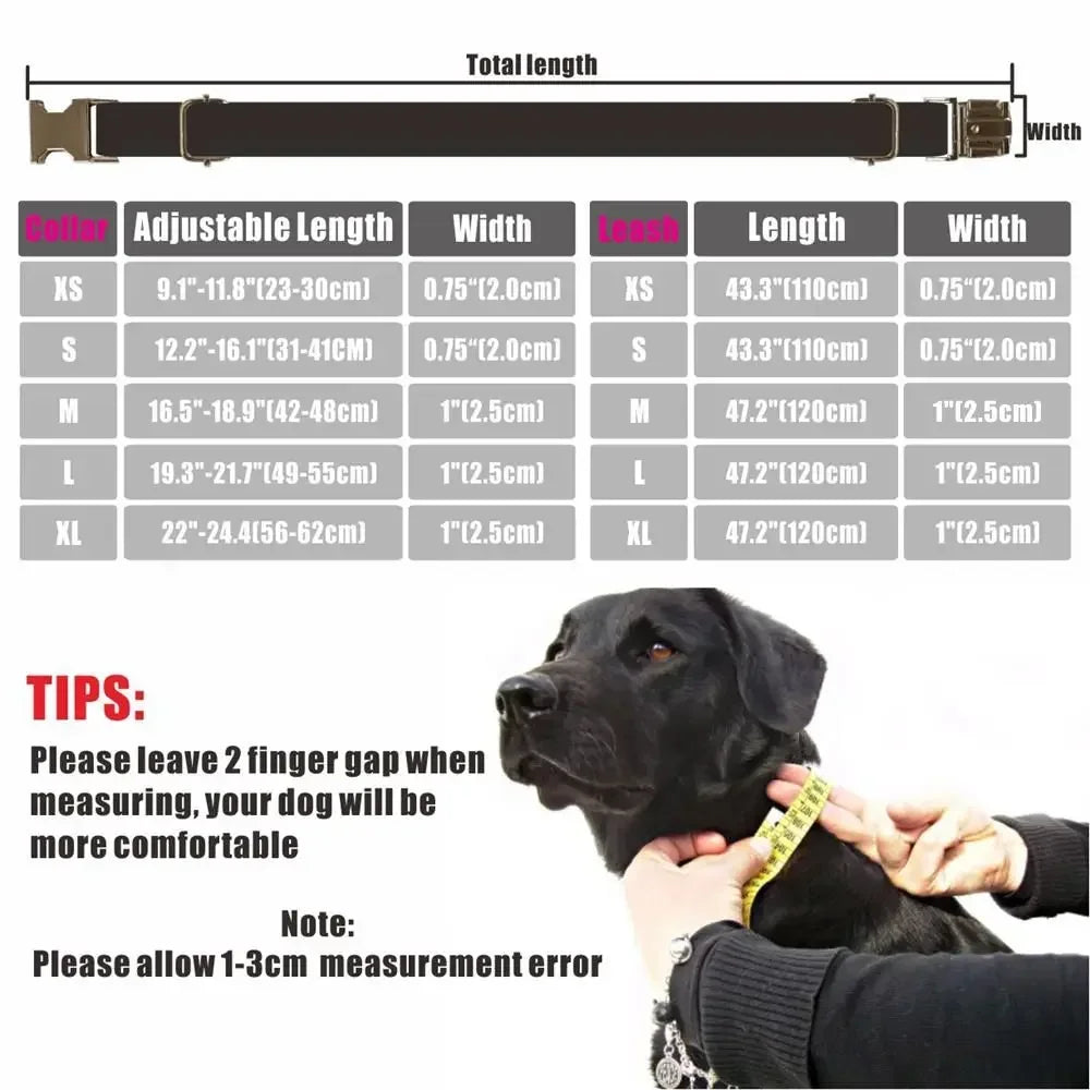 Personalized Dog Collars with Free Engraving & Matching Leashes