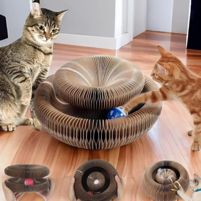 Kitten Curl Toy Foldable Cat Scratcher Board