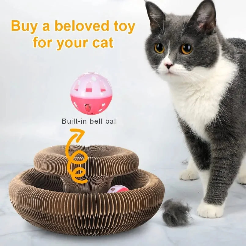 Kitten Curl Toy Foldable Cat Scratcher Board