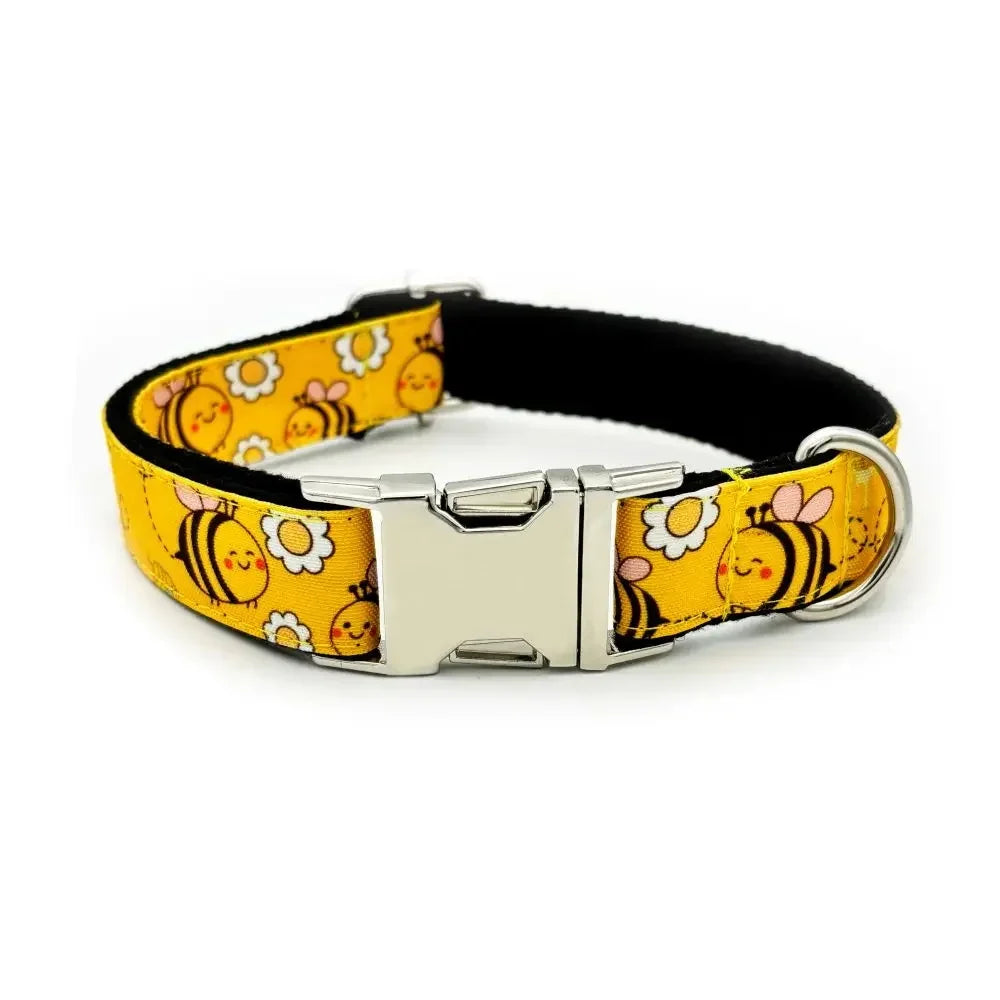 Personalized Dog Collars with Free Engraving & Matching Leashes