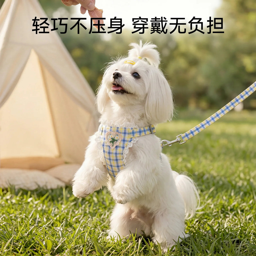 Pet Spring and Summer Chest Harness for Walking Dogs Leash for Small and Medium-sized Dogs Teddy Vest