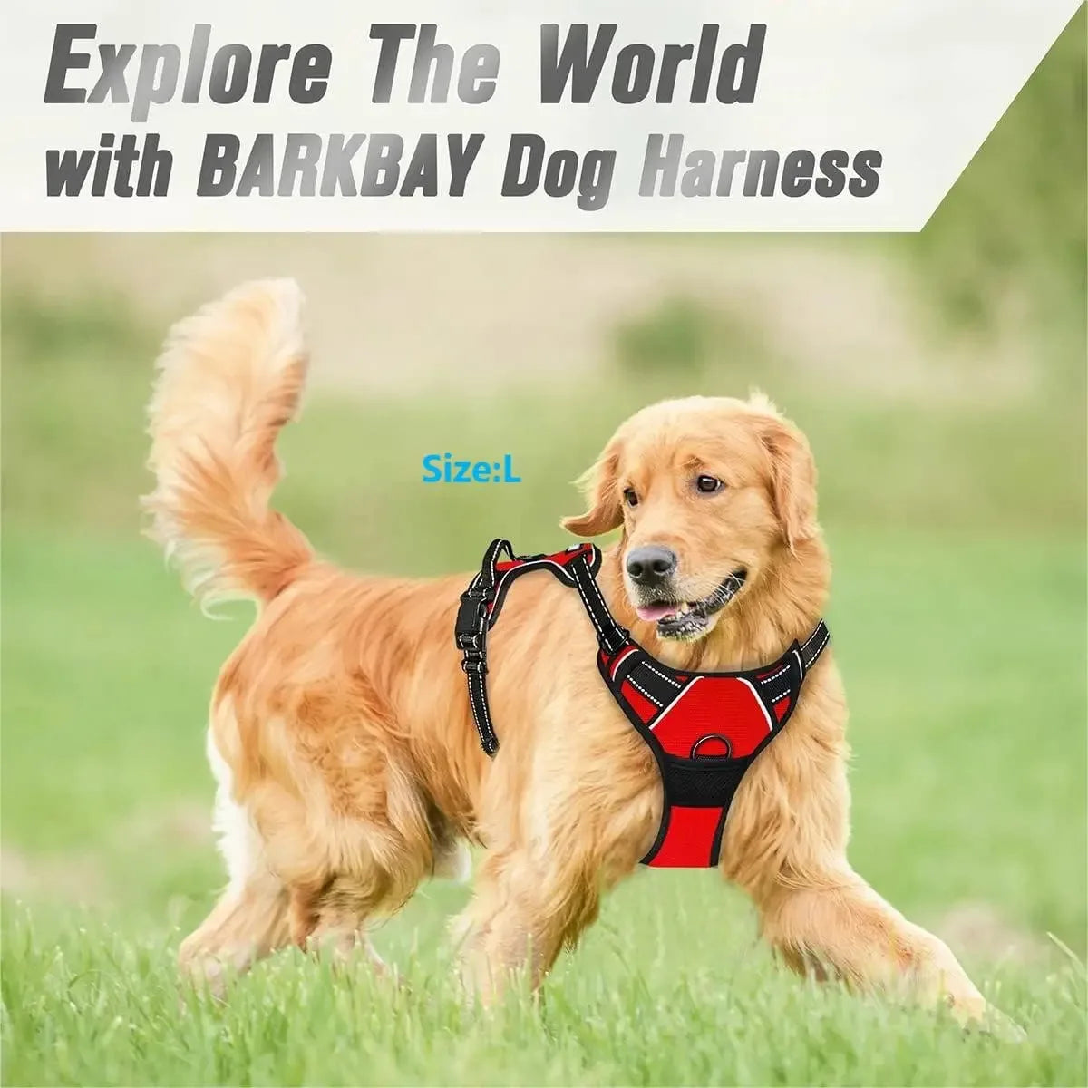Dog Harness Vest Collar Set for Small Medium Dogs