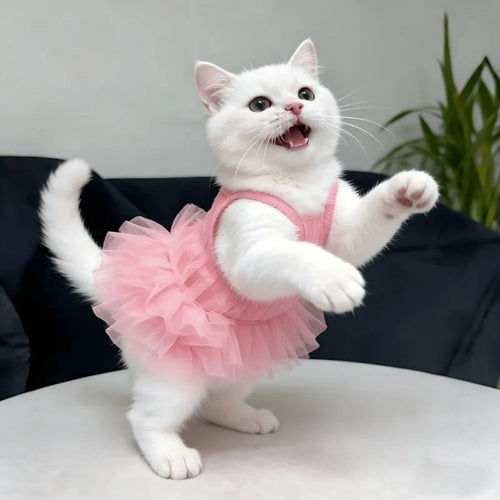 Cute Breathable Puppy Slip Dress Lace Hem Summer Pet Princess Dress Adorable Skin-friendly Dog Puffy Dress for Small Dog Cat