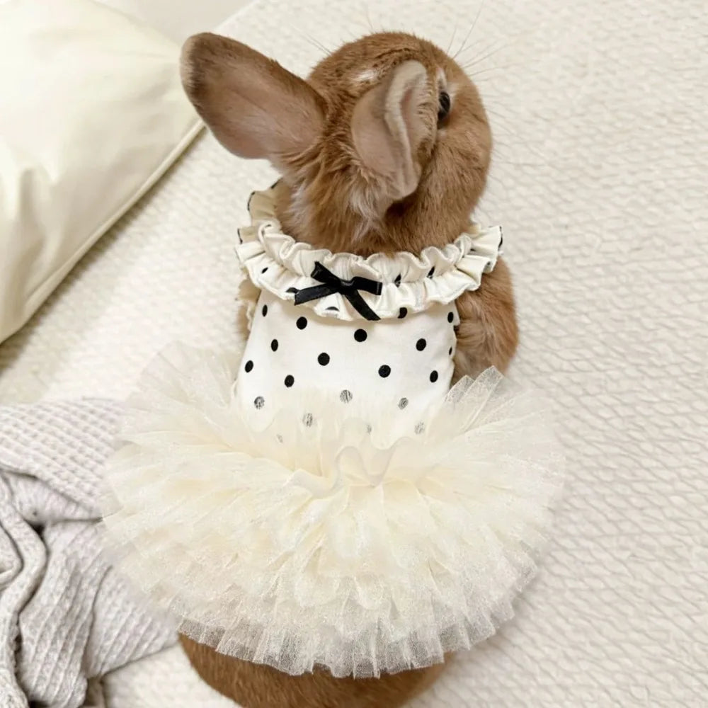 Cute Breathable Puppy Slip Dress Lace Hem Summer Pet Princess Dress Adorable Skin-friendly Dog Puffy Dress for Small Dog Cat