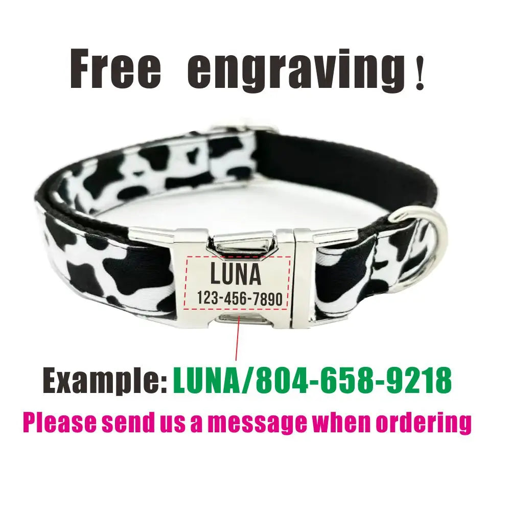 Personalized Dog Collars with Free Engraving & Matching Leashes