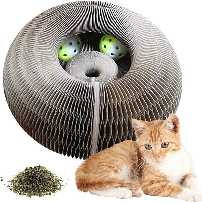 Kitten Curl Toy Foldable Cat Scratcher Board