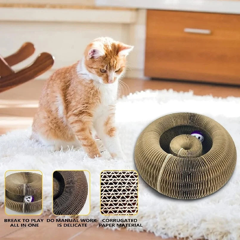Kitten Curl Toy Foldable Cat Scratcher Board