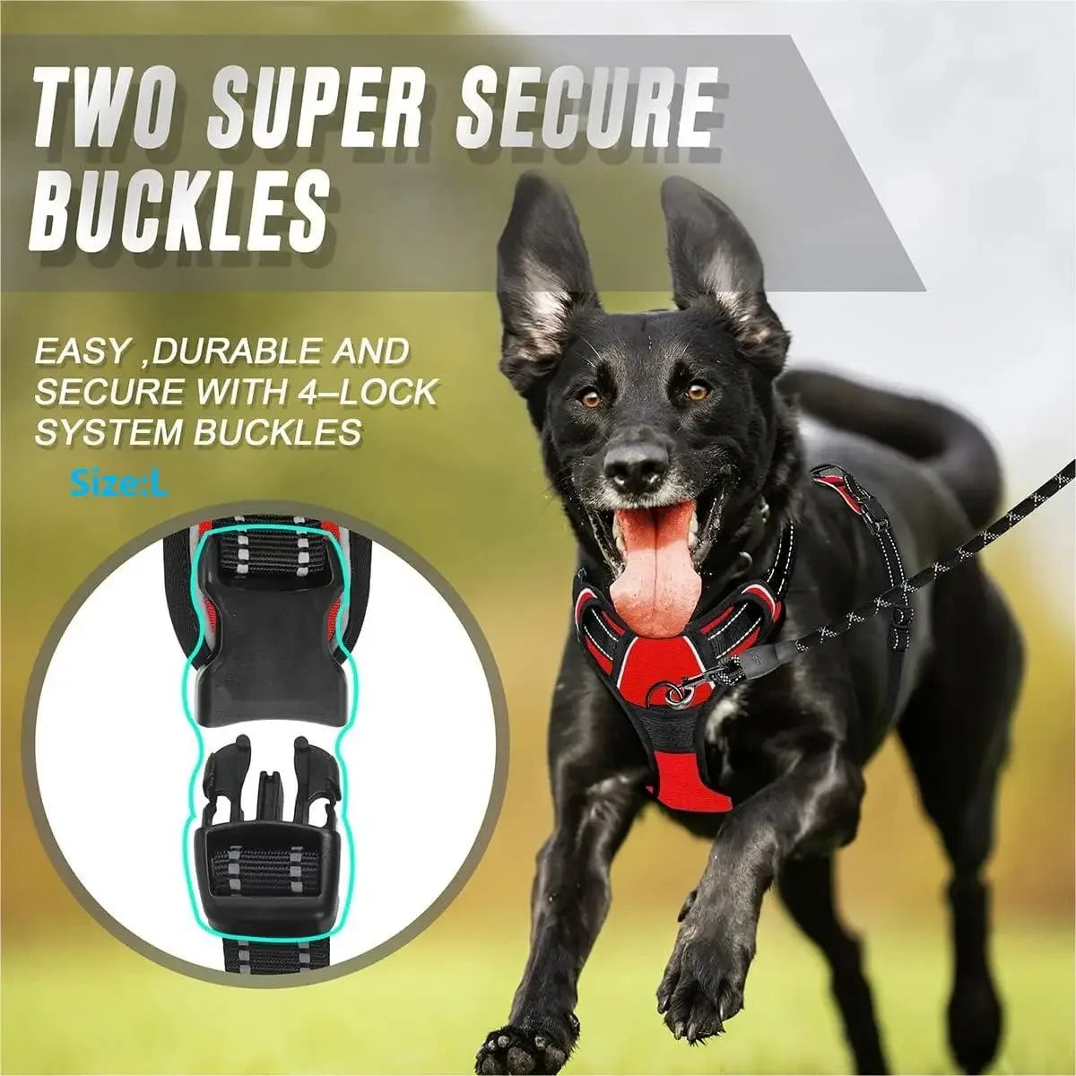 Dog Harness Vest Collar Set for Small Medium Dogs