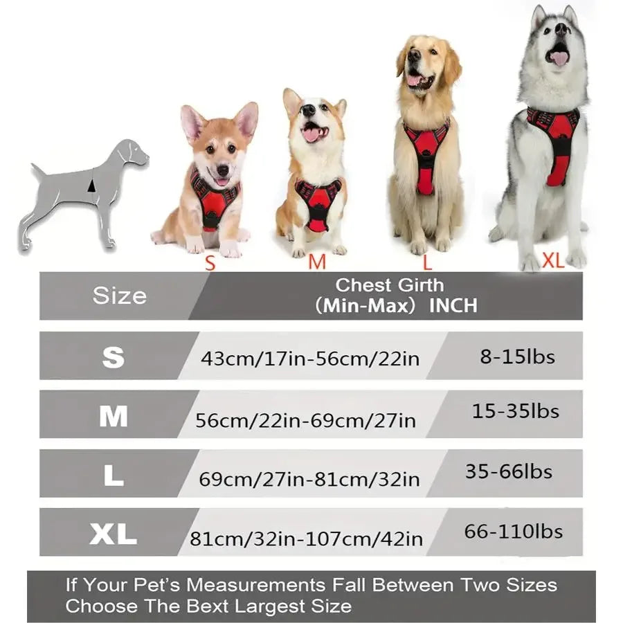 Dog Harness Vest Collar Set for Small Medium Dogs