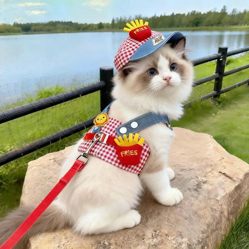 Cute Pet Collars Dog Cat Hat Spring/Summer Outing Sunshade Hat Cute Chest Strap Vest Dog Harness and Leash Set Puppy Accessories