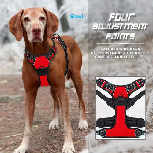 Dog Harness Vest Collar Set for Small Medium Dogs