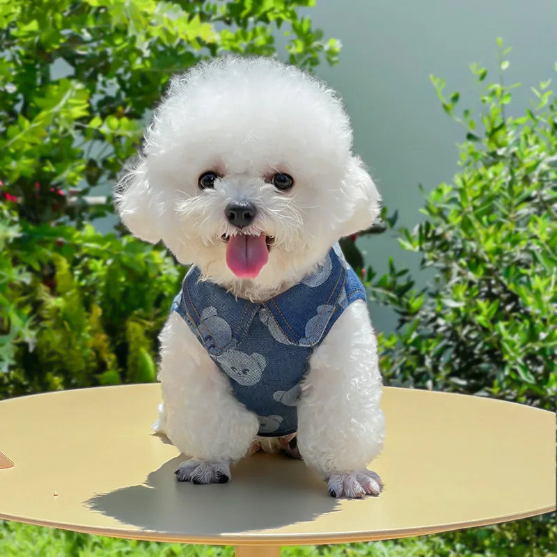 Denim Dog Harness and Lesh Set Pet Clothes Dog Chest Strap Traction Rope Cat Vest Harnesses Chihuahua Ragdoll Walking Supplies