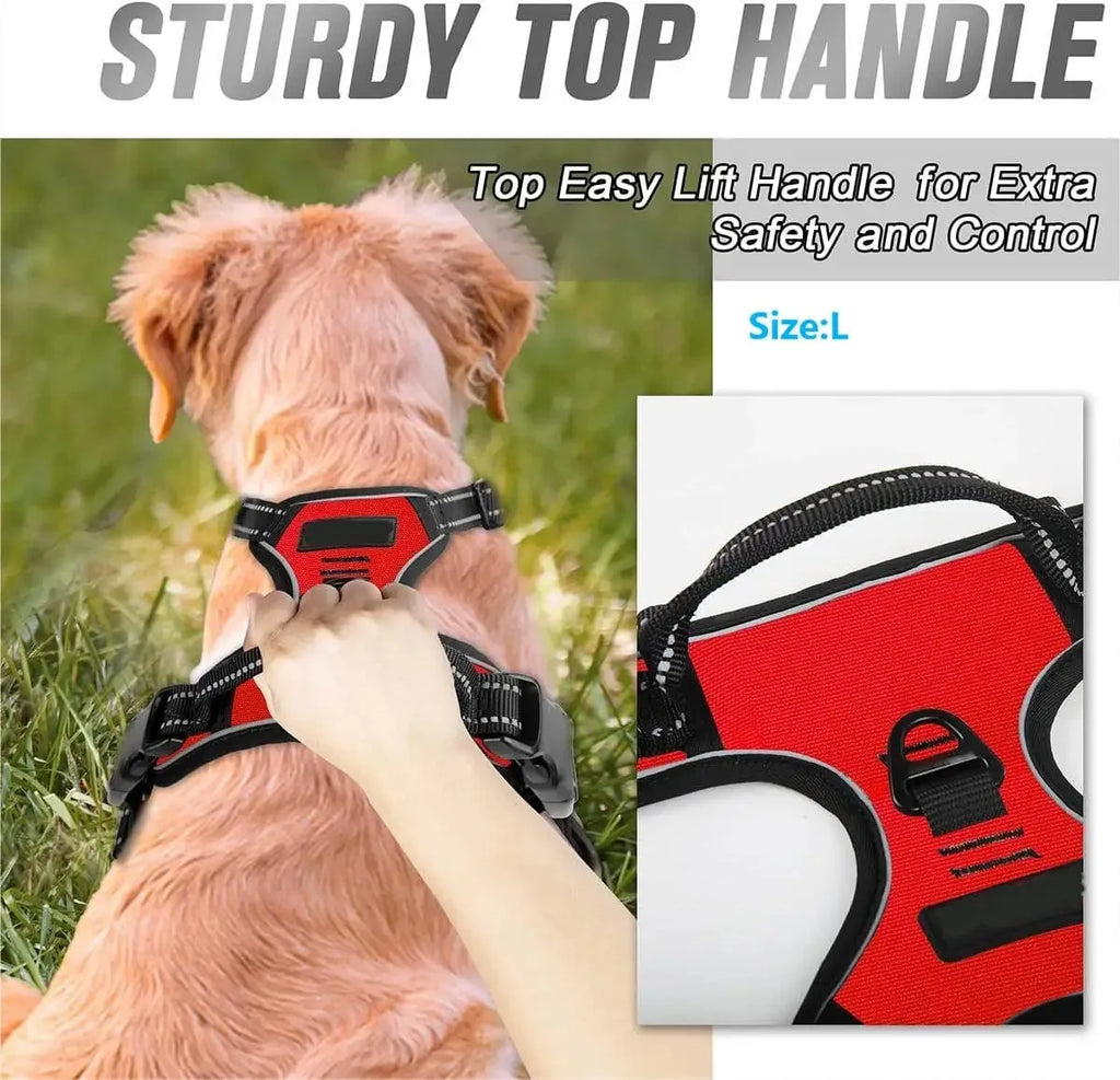 Dog Harness Vest Collar Set for Small Medium Dogs