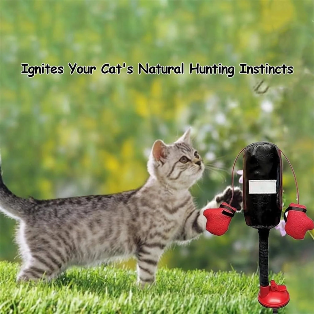 Interactive Cat Boxing Toy Cat Punching Bag Self-Standing Play Gym for Kittens Stress Relief Cat Toy Durable Scratch Trainer