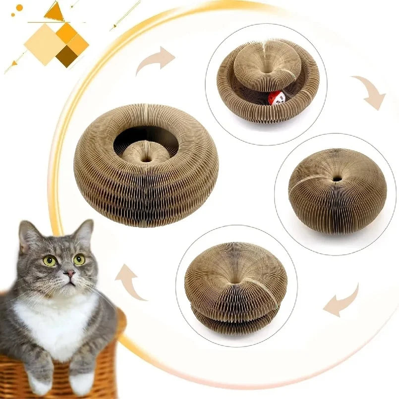 Kitten Curl Toy Foldable Cat Scratcher Board