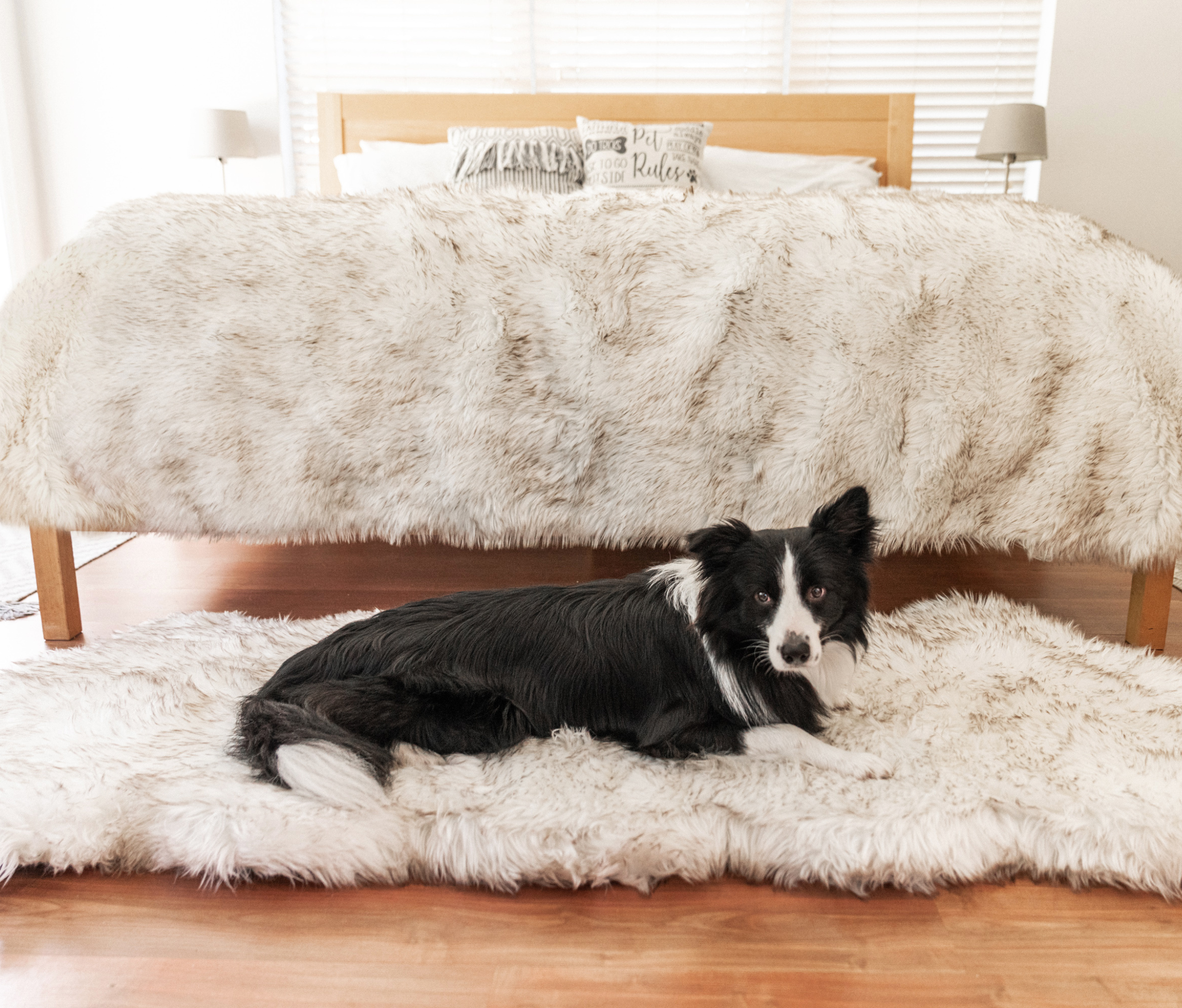 PupRug® Orthopedic Runner Bed + Matching Waterproof Blanket Bundle - White with Brown Accents