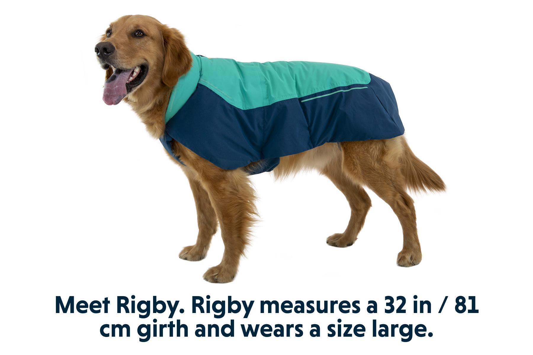 Vert™ Waterproof Insulated Vest