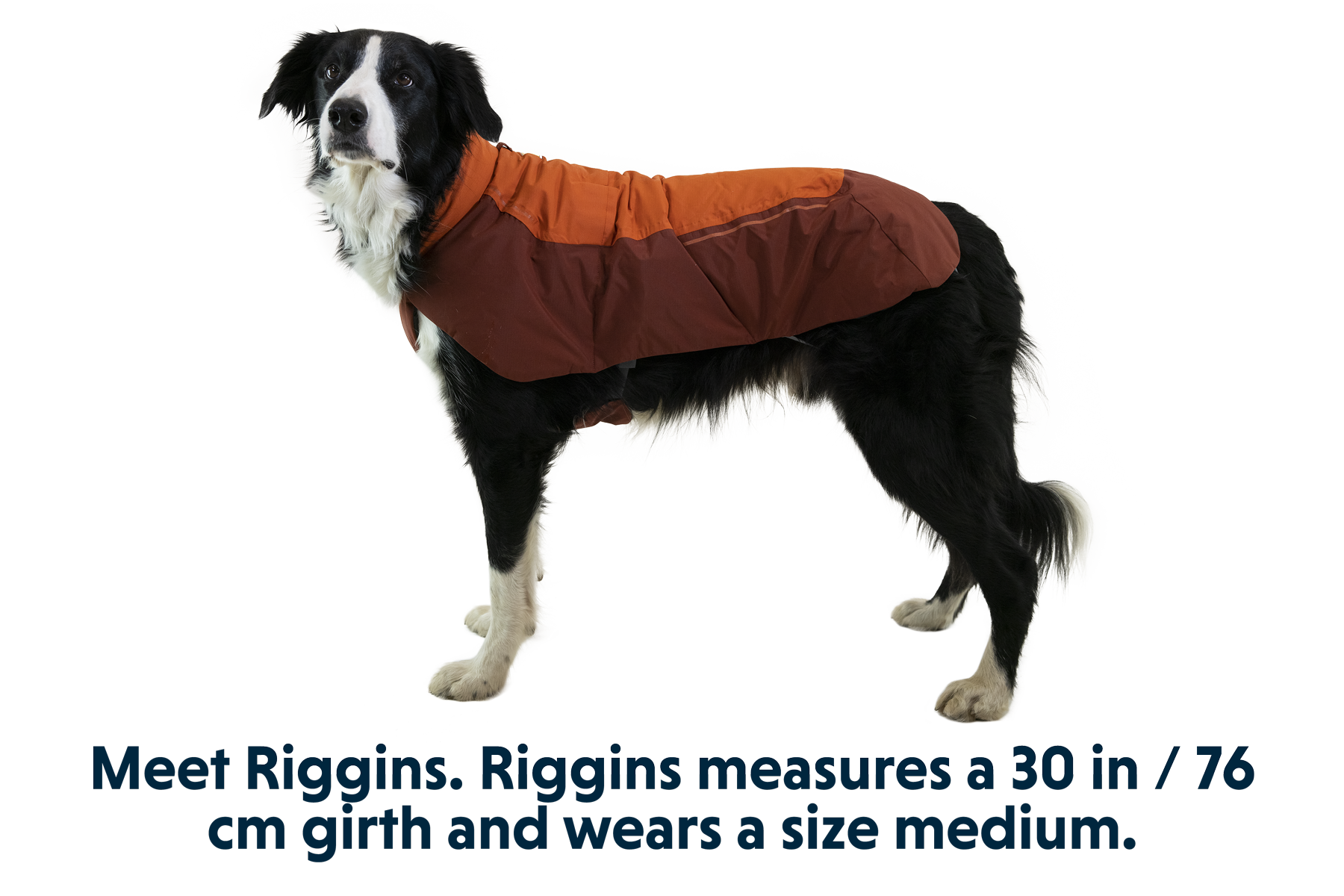 Vert™ Waterproof Insulated Vest