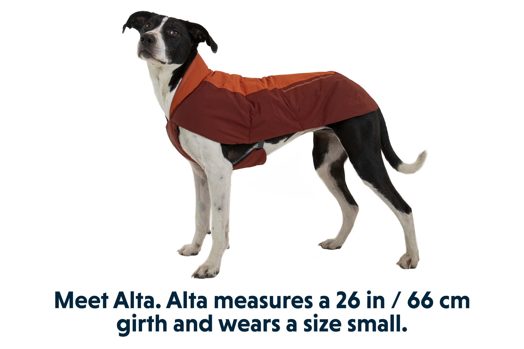 Vert™ Waterproof Insulated Vest