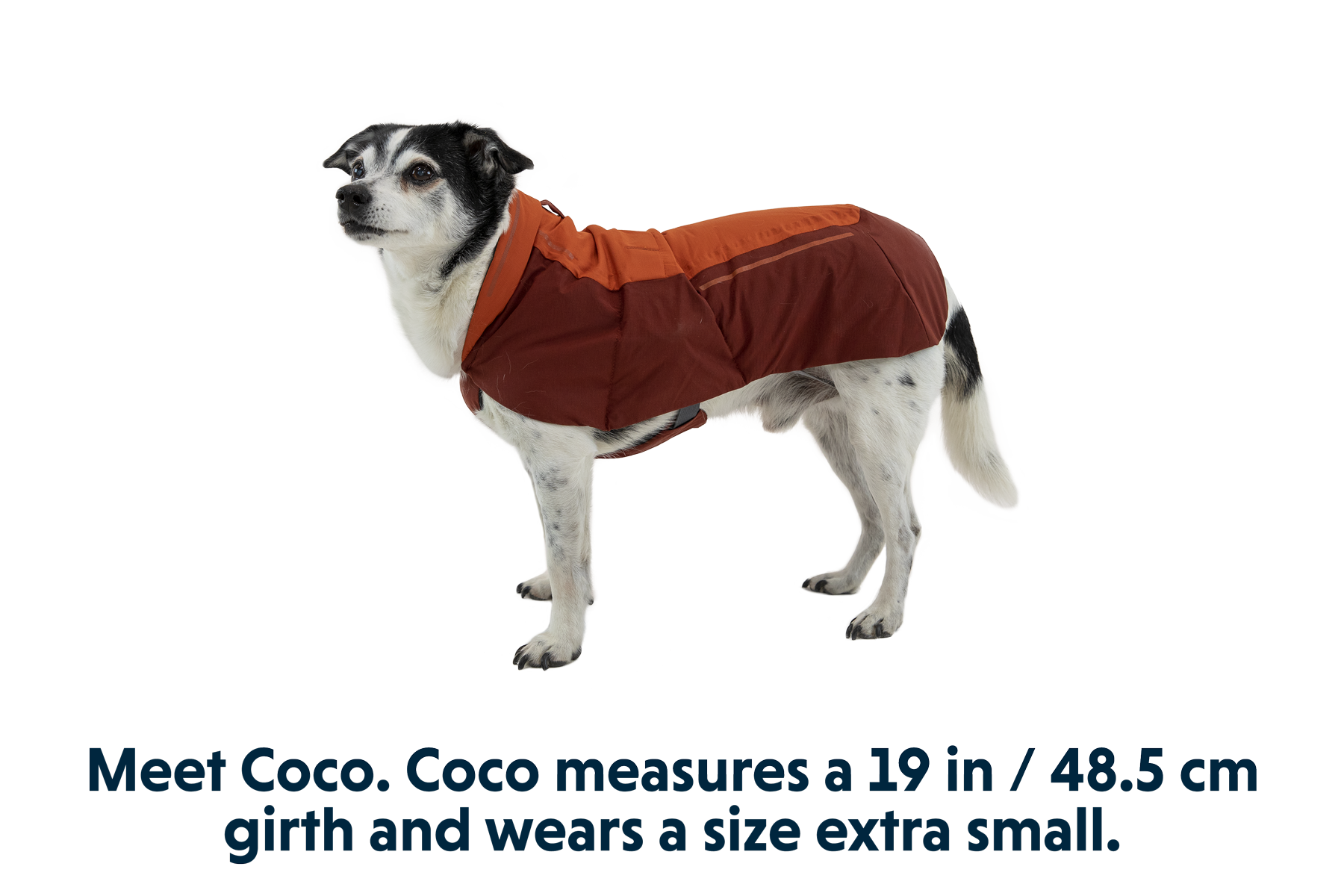 Vert™ Waterproof Insulated Vest