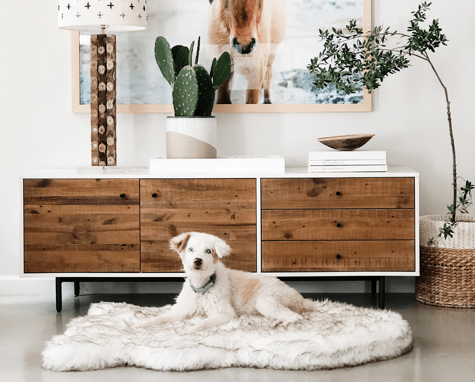 PupRug® Orthopedic Bed + Matching Waterproof Blanket Bundle - White with Brown Accents