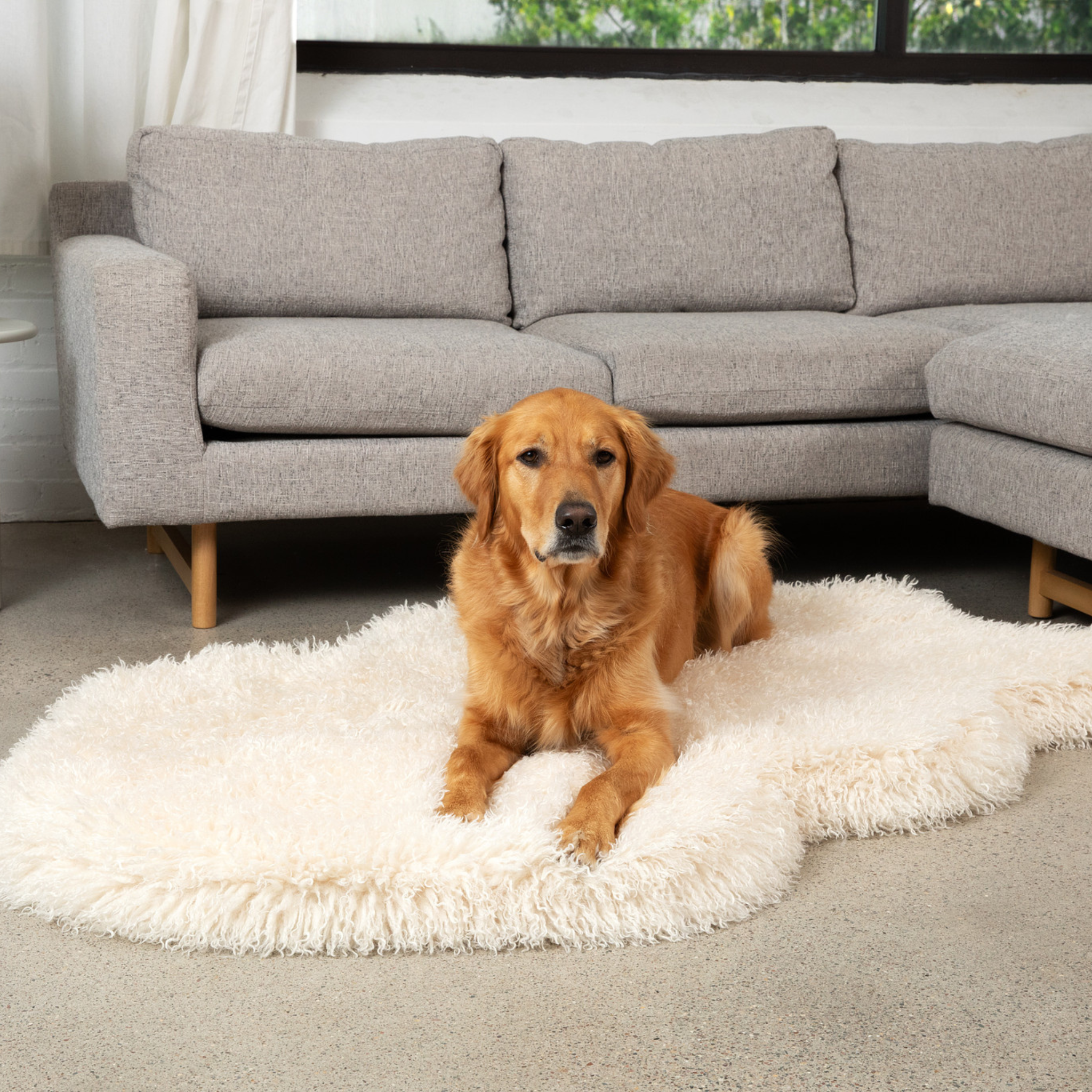PupRug® Luxe Faux Fur Orthopedic Dog Bed - Plush Sheep Ivory