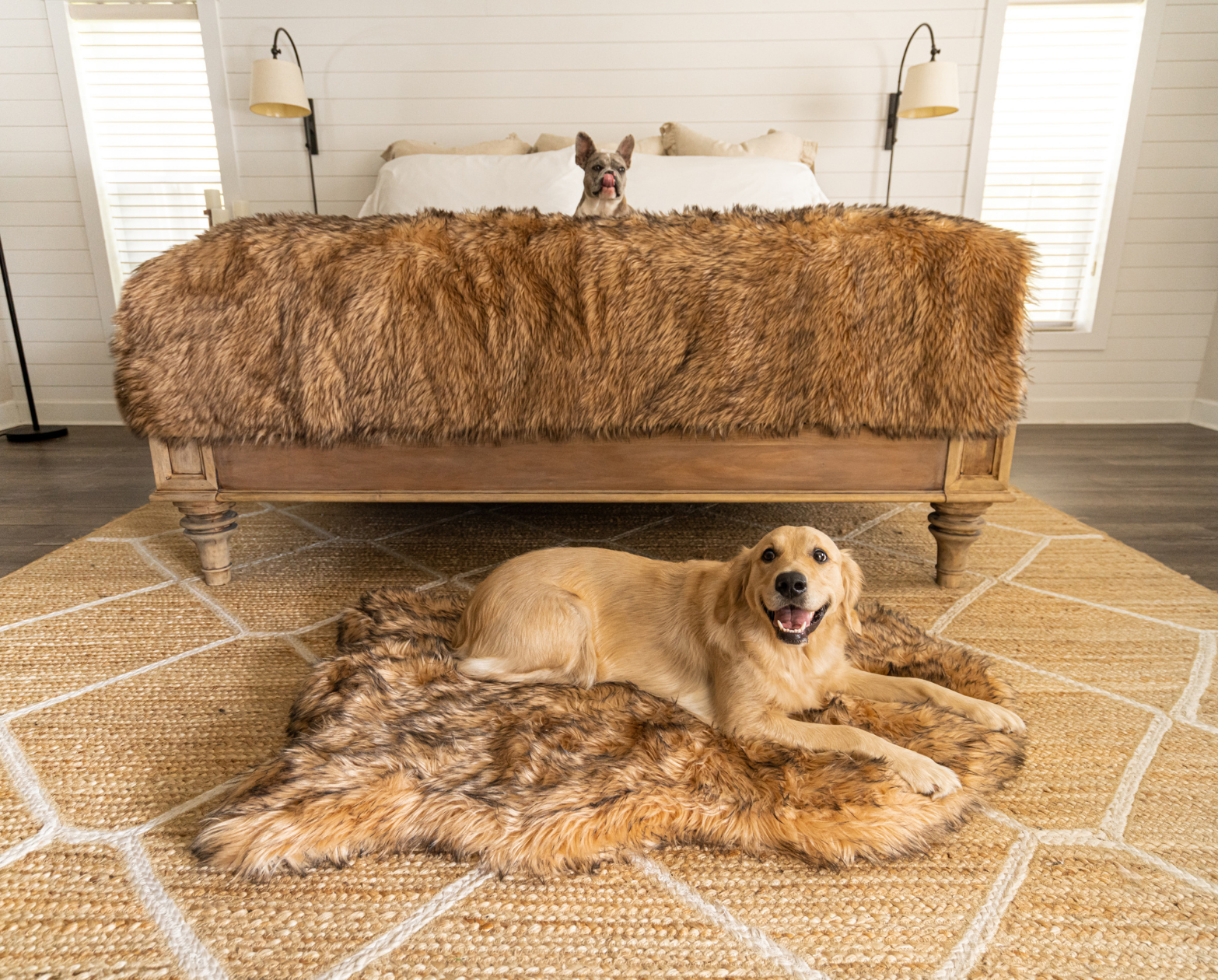 PupRug® Orthopedic Bed + Matching Waterproof Blanket Bundle- Sable Tan