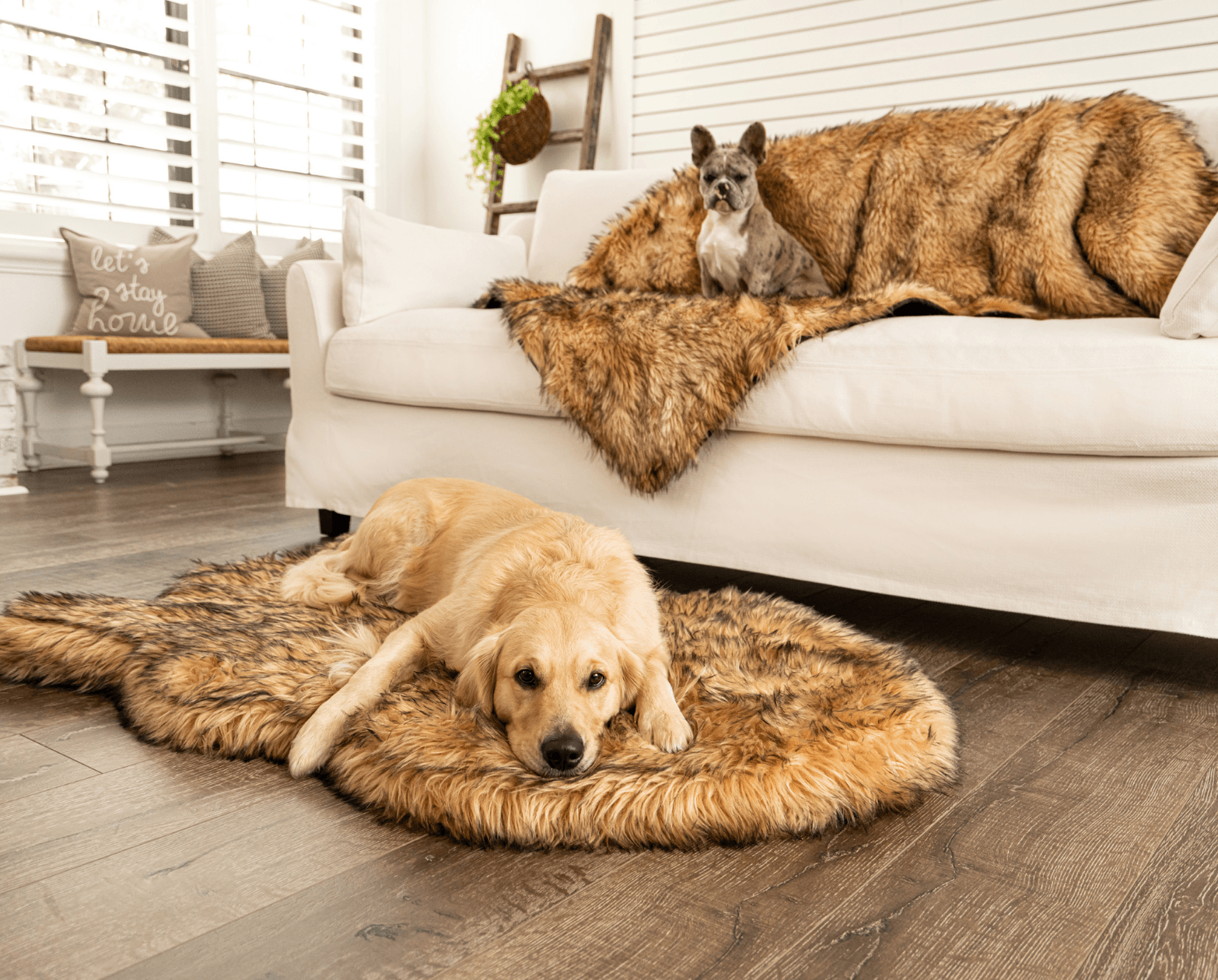 PupRug® Orthopedic Bed + Matching Waterproof Blanket Bundle- Sable Tan